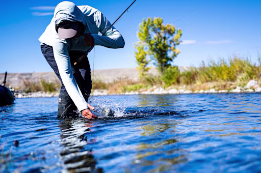 Trout die off in Montana's Big Hole River
