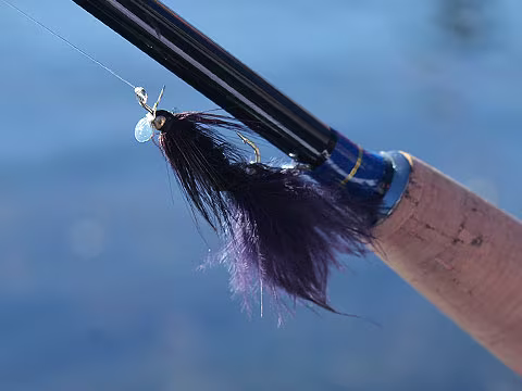 Double Davy Knot