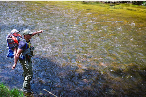 Where to Fish for free on Father's Day