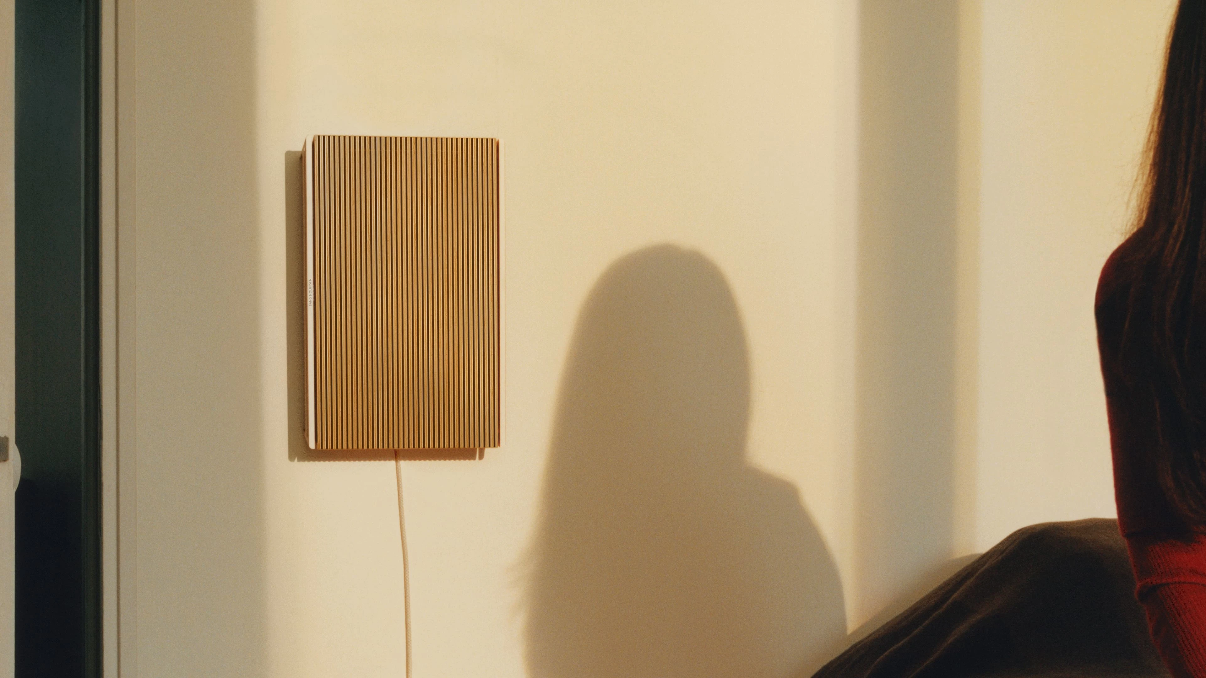 Beosound Level