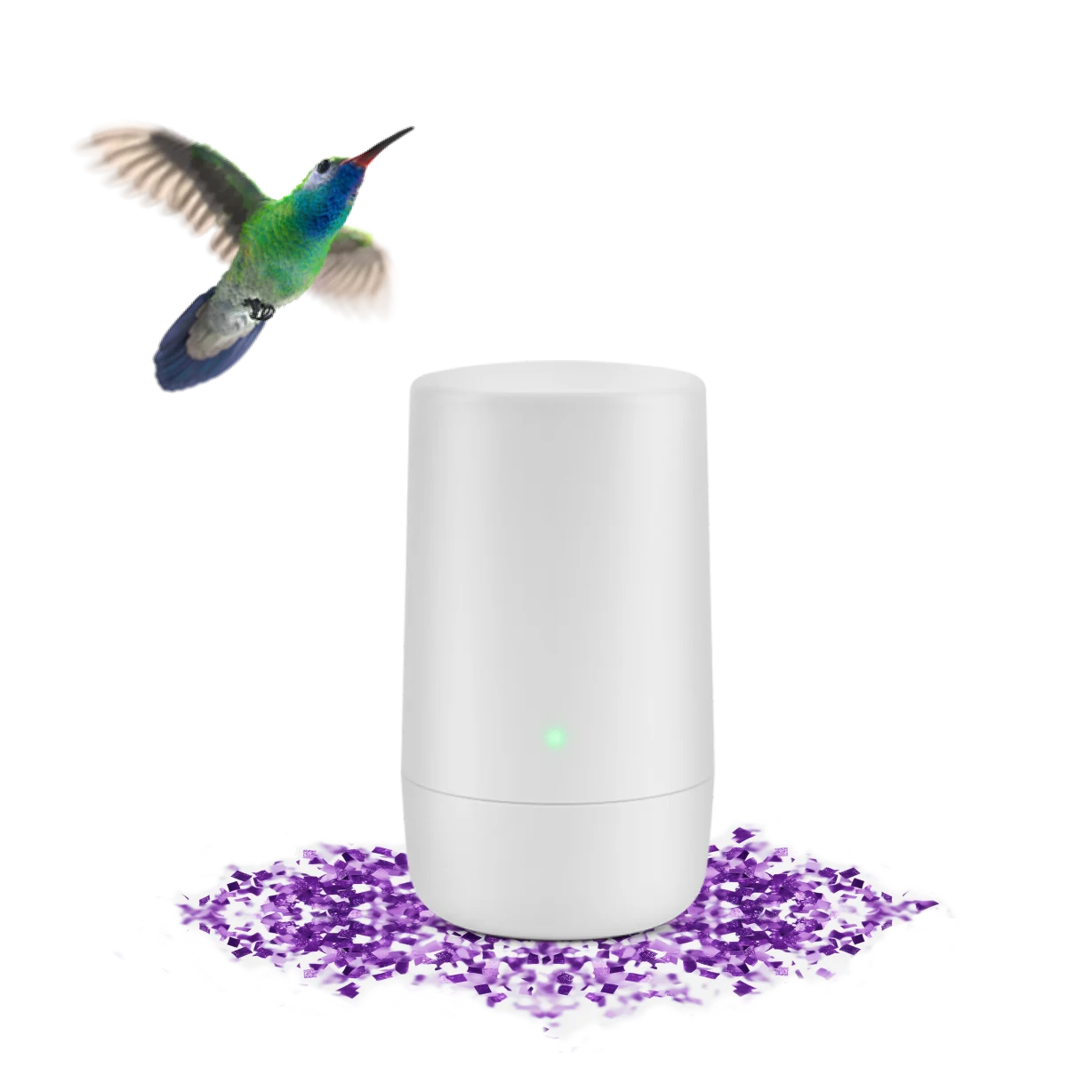 A hummingbird hovering over a TELUS modem. The modem is sitting on a bed of purple confetti.