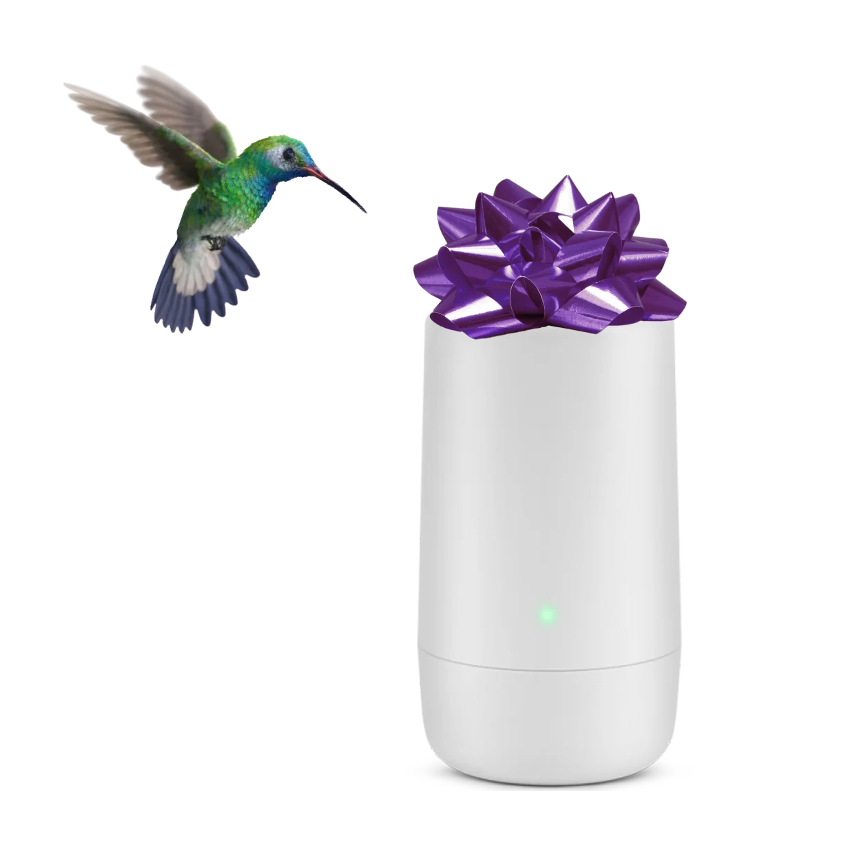 A hummingbird hovering over a TELUS modem. The modem has a purple bow on top of it.