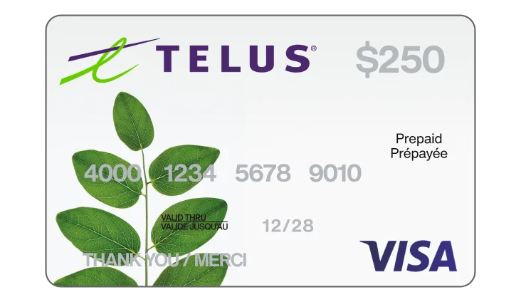 A $250 prepaid Visa card.