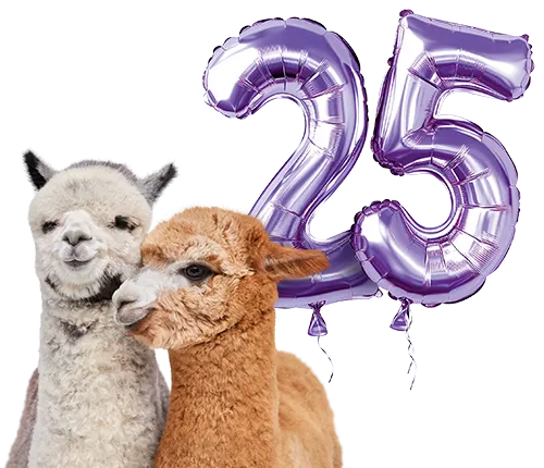 Two alpacas snuggling. Behind them is a purple number two balloon and a purple number five balloon, representing TELUS’ 25th brand anniversary. 