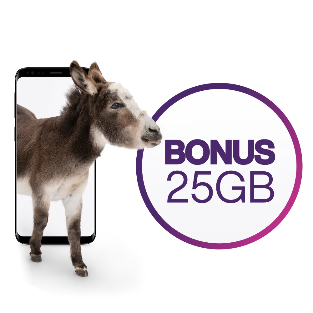 A donkey emerges from a smartphone towards text that reads, "Bonus 25GB".