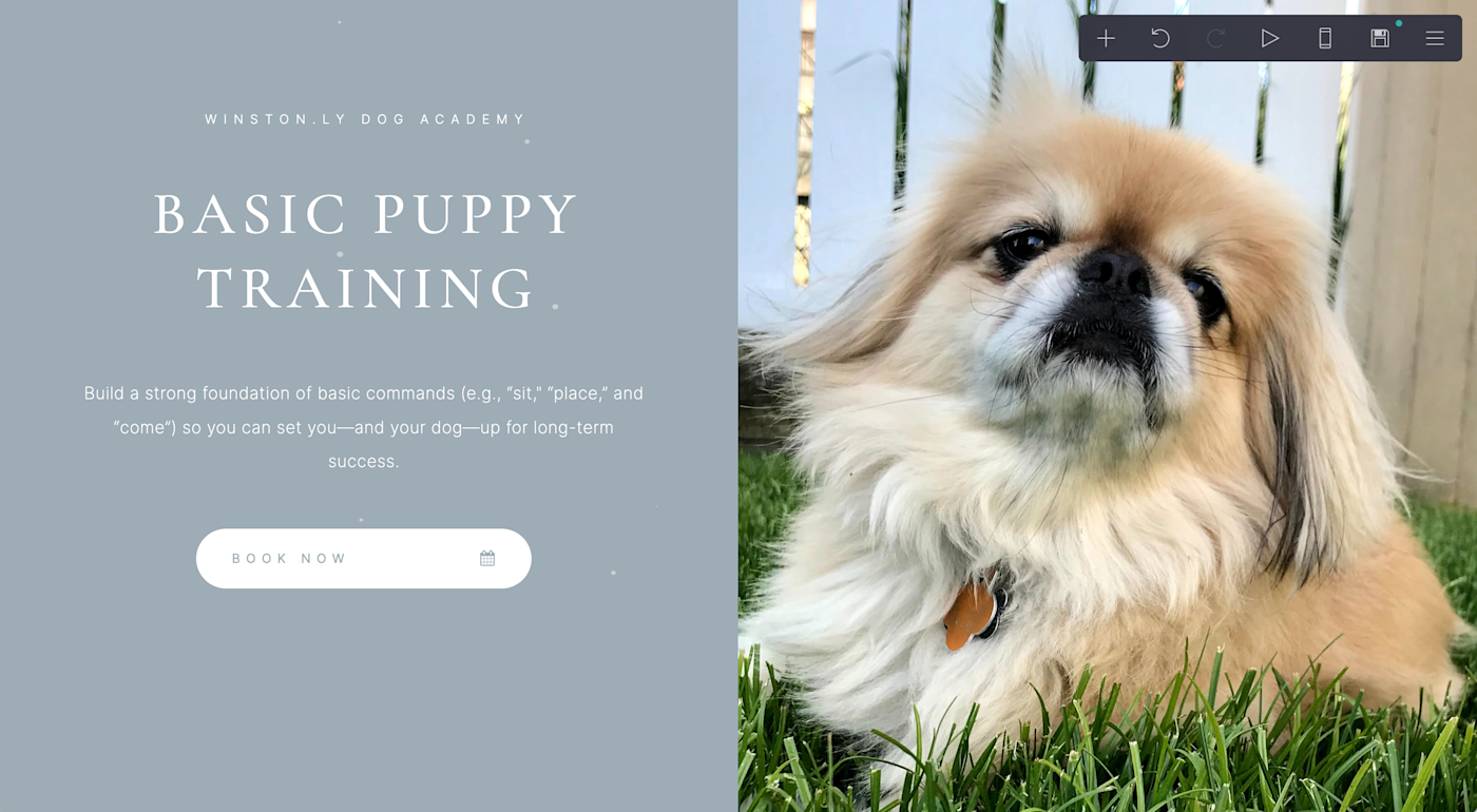 Carrd, our pick for the best lead management software for building landing pages to generate leads.