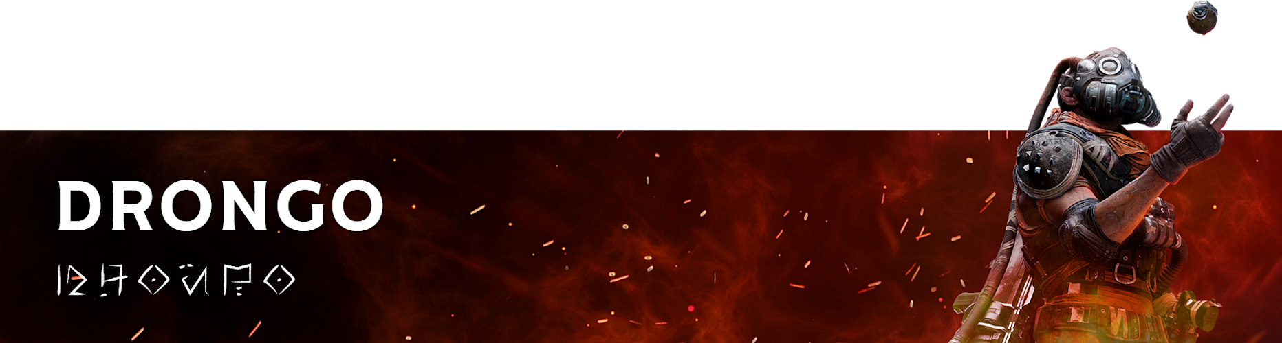 Web Banner Drongo