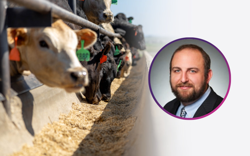 Dr. Adam Shreck | Animal Science & Beef Sustainability Expert