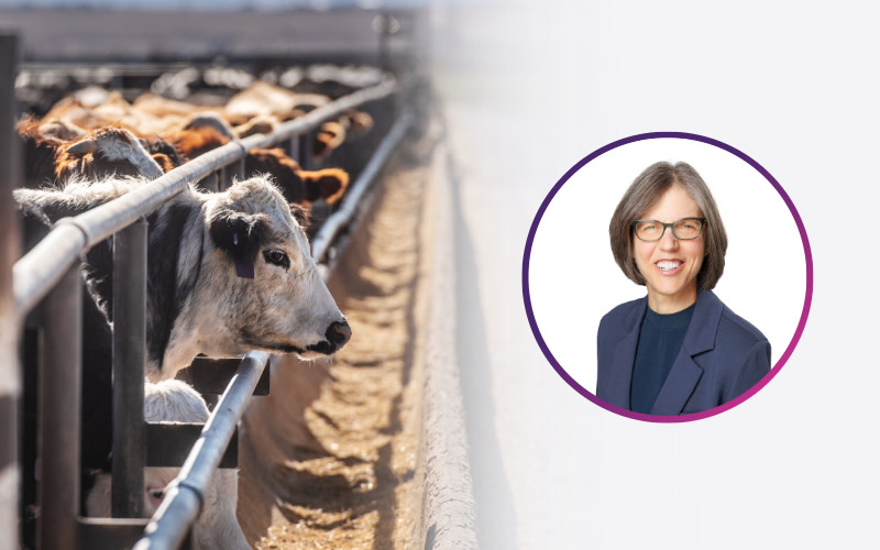Dr. Deb Johnson | Veterinary Pathologist