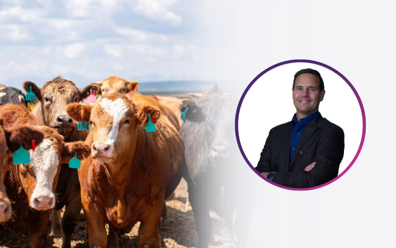 Dr. Brian Wildman | Director of Technology & Animal Data Systems